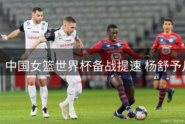 中国女篮世界杯备战提速 杨舒予月底归队强化后场阵容