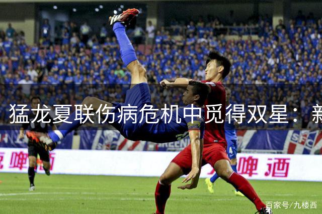 猛龙夏联伤病危机中觅得双星：新秀格雷夫斯全面爆发 落选秀伦迪三分惊艳