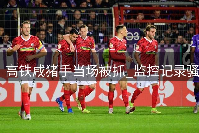高铁"咸猪手"当场被抓 监控记录骚扰全程